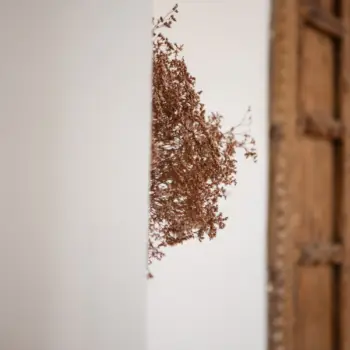 Maison Mastrorelli - Salle à manger