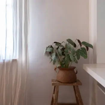 Maison Mastrorelli - chambre 11